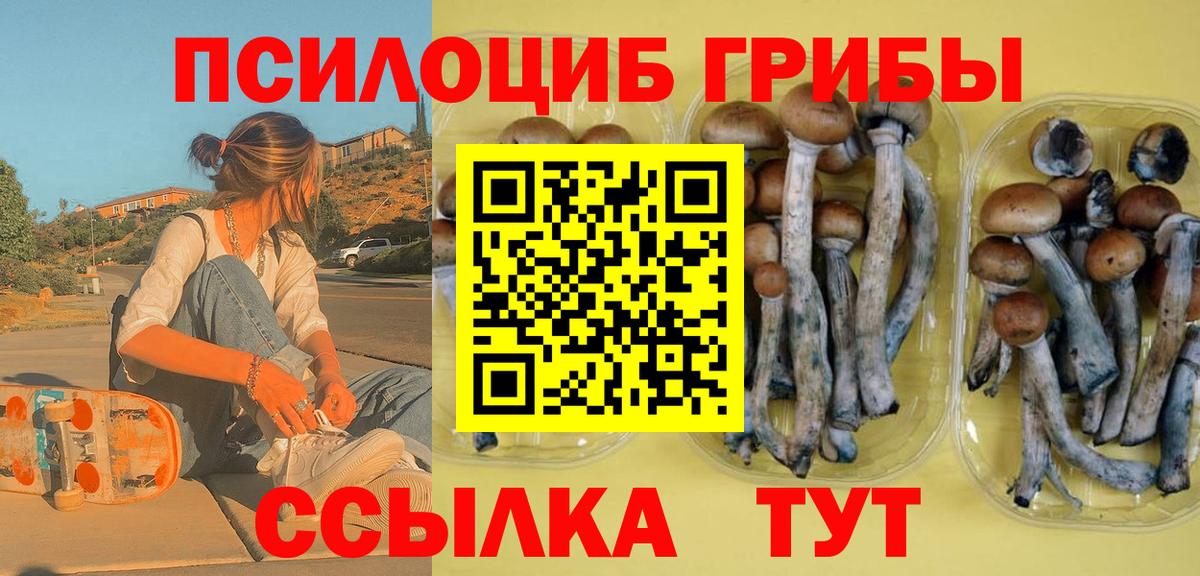 Псилоцибиновые грибы Cubensis Кизилюрт